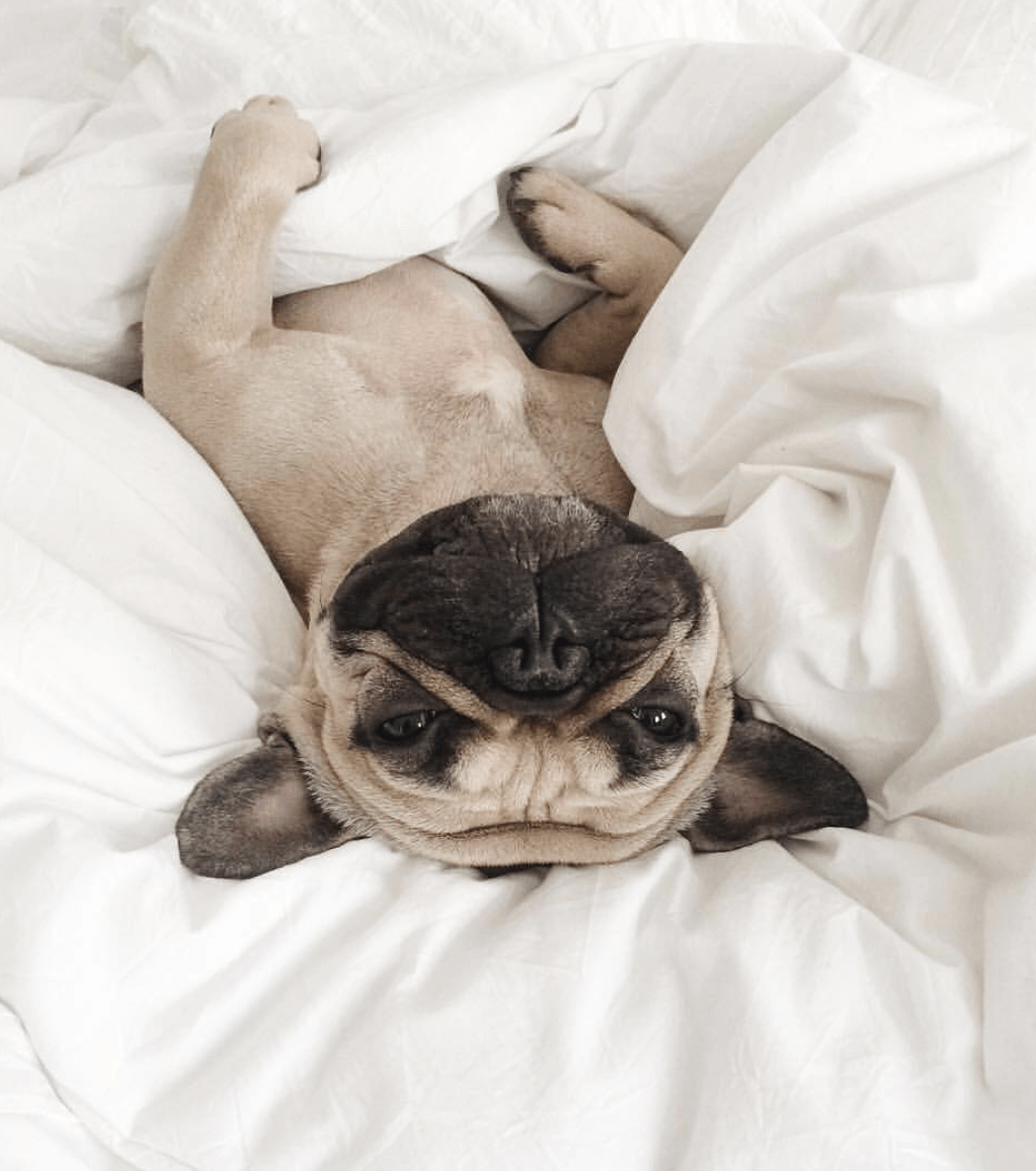 5 Ways to Beat the 330PM Slump - TRANSFORM by Fitaz
