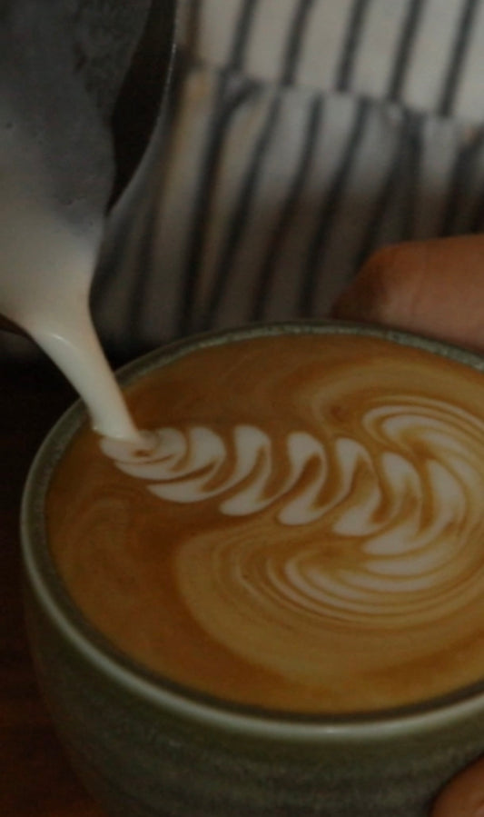 Eliminating Coffee: The Shocking Effects on Your Body You Never Knew About! - TRANSFORM by Fitaz